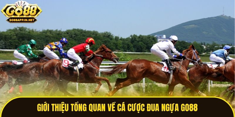 Giới thiệu tổng quan về cá cược đua ngựa Go88